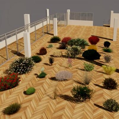 bush shrub plants Revit